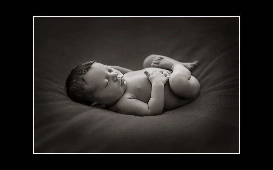 Parim Beebifoto 2015
